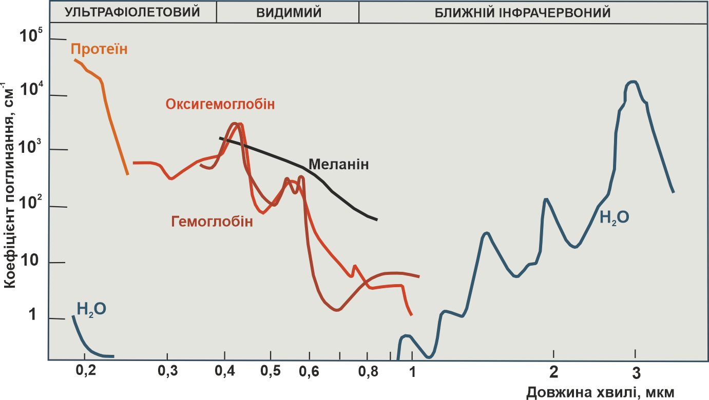 Grafik2022.1