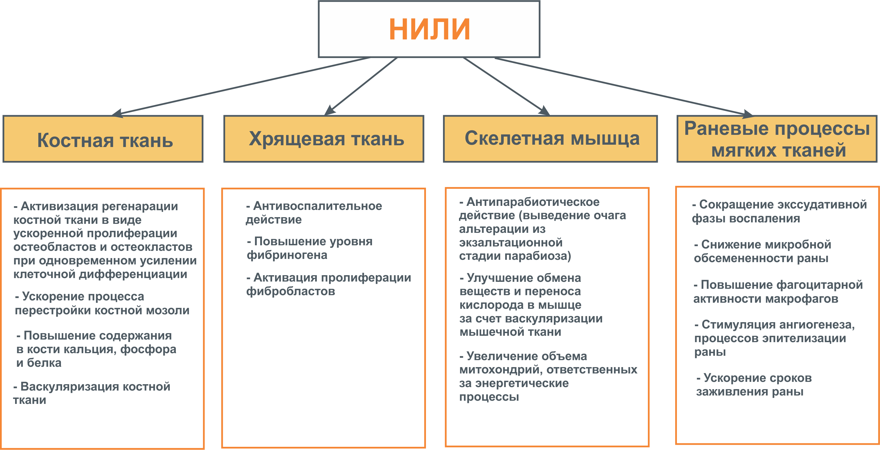 Рис. 1